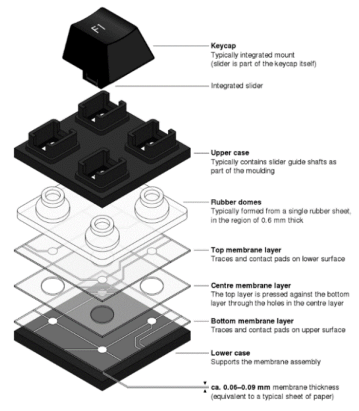rubber dome